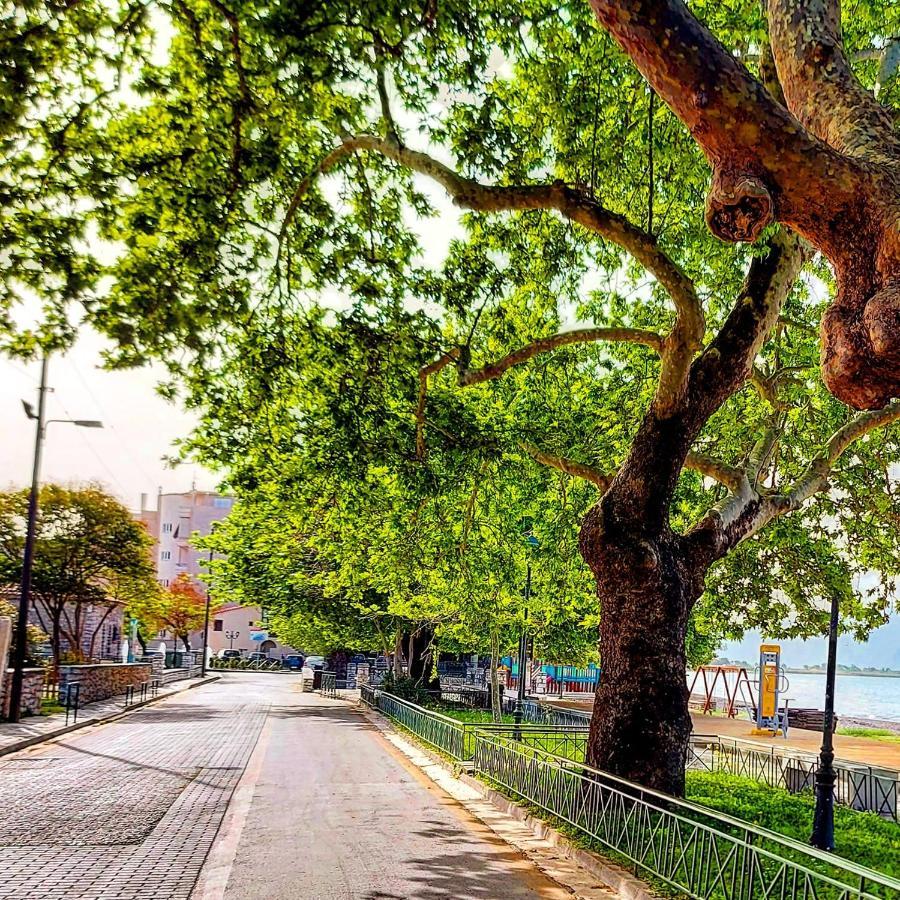Nafpaktos Beach Luxury Suites Εξωτερικό φωτογραφία
